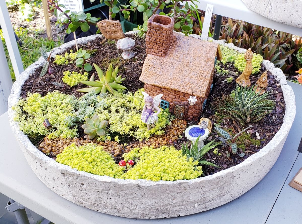 Creative DIY Fairy Garden by gardening