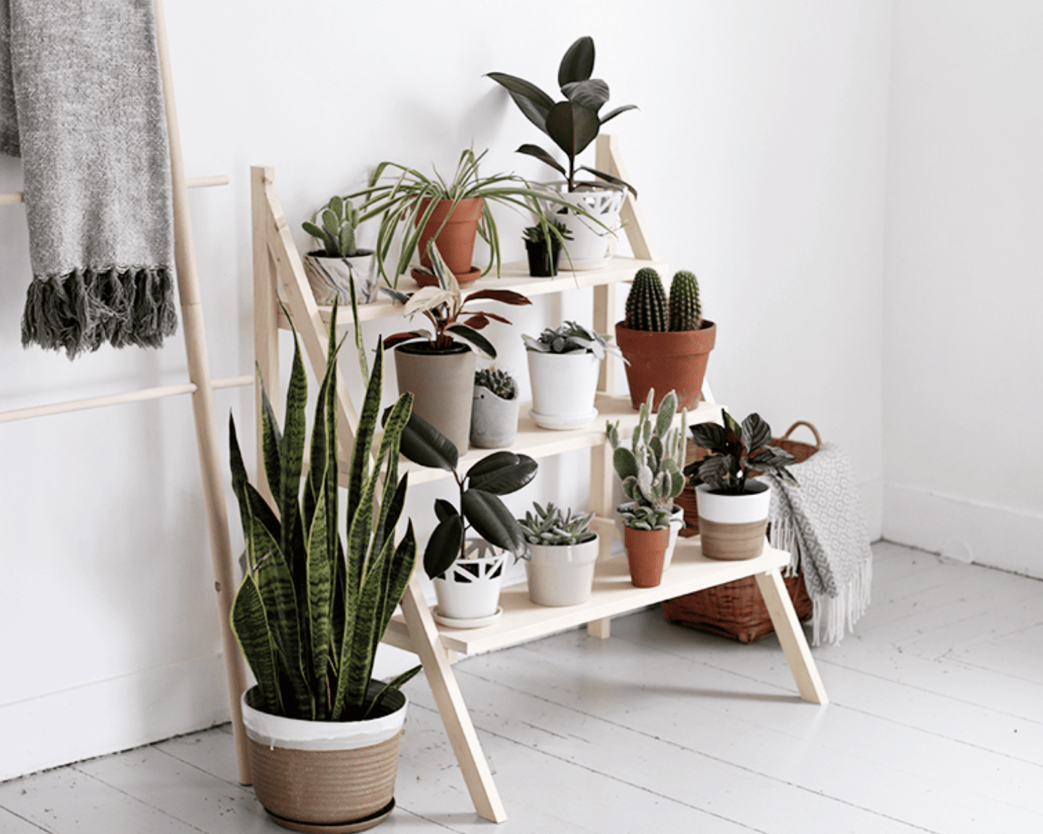 DIY Ladder Plant Stand from The Merry Thought