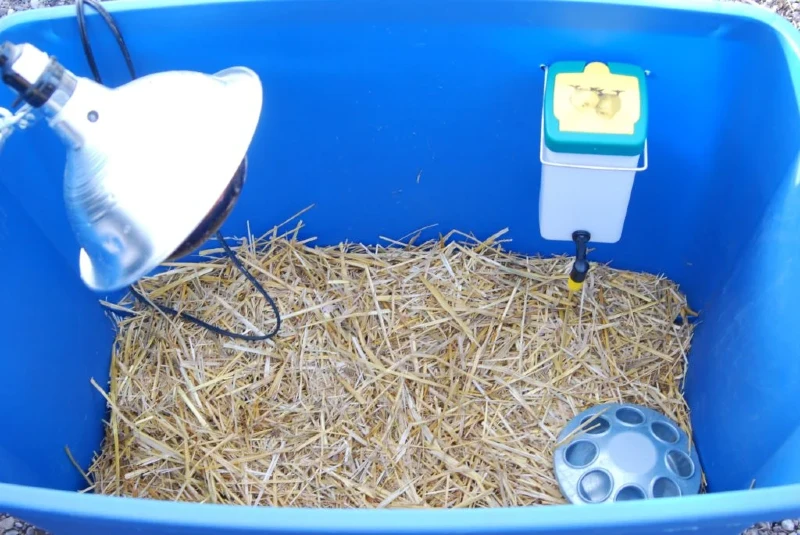 DIY Plastic Tote Chick Brooder by Longbourn Farm