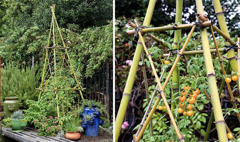 DIY_How_To_Build_A_Bamboo_Trellis_Tower