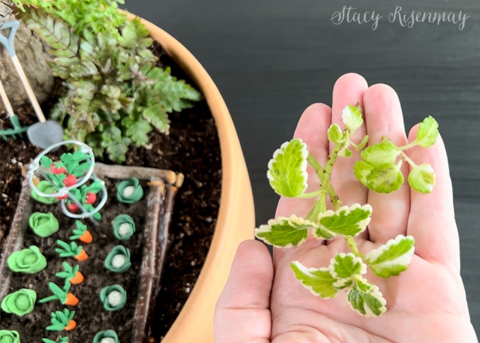 Garden Pot Fairy Garden by not just a housewife