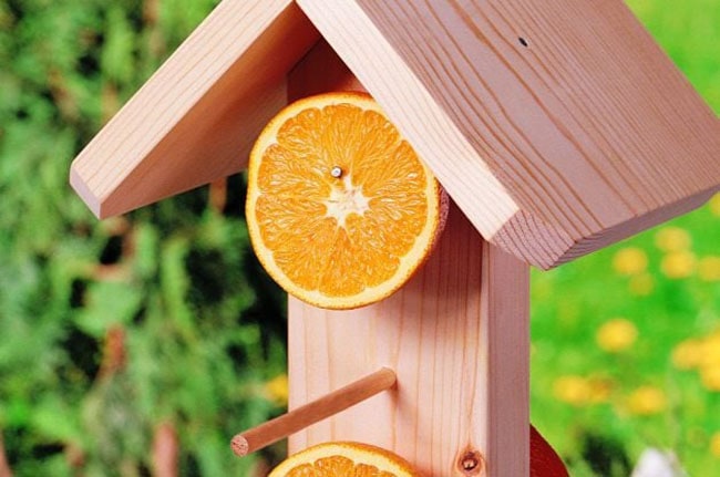 How_to_Make_Easy_DIY_Oriole_Feeders
