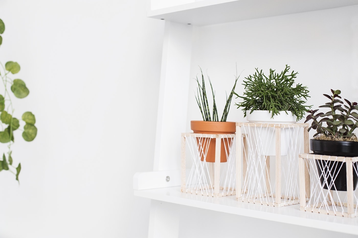 Plant Stand Throne by The Lovely Drawer