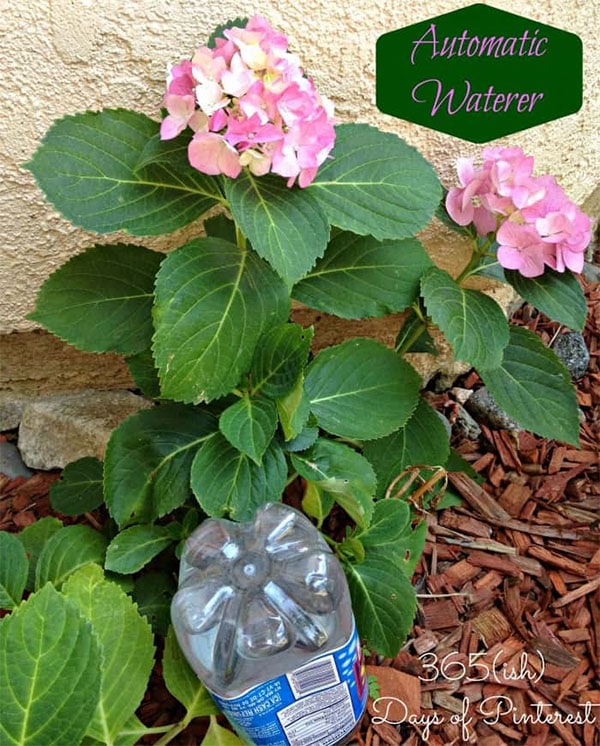 Simple Plastic Bottle DIY Watering Globe from Simple & Seasonal