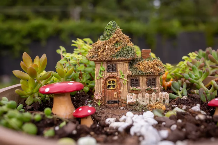 Super Simple Fairy Garden by the spruce