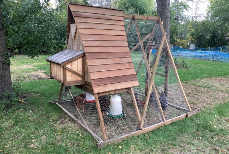DIY A Frame Chicken Coop