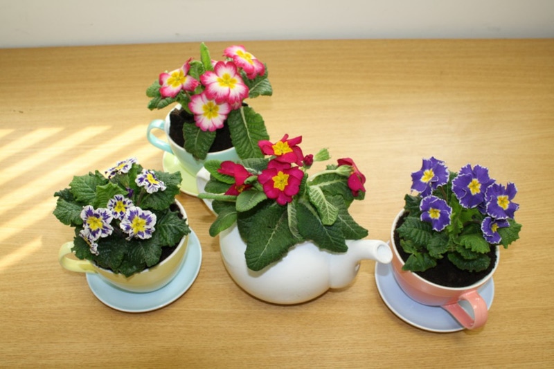 DIY front porch planetrs