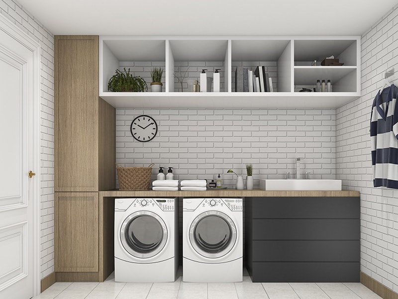 3d rendering wood minimal laundry room with shelf and plant