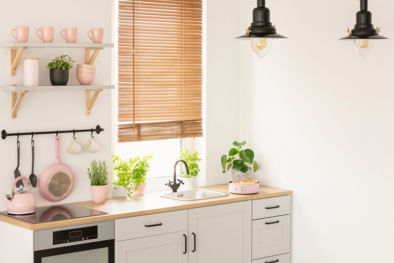 Plants on wooden countertop in kitchen interior with blinds