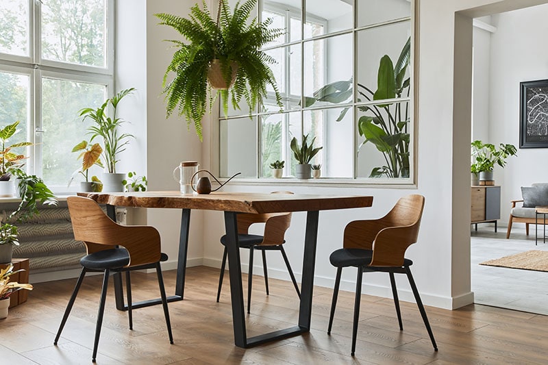 Stylish and cozy interior of dining room