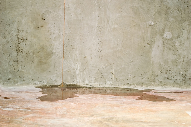 Water damage in basement caused by sewer backflow due to clogged sanitary drain