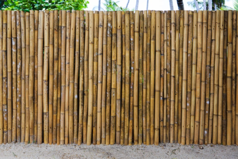 Bamboo fence background