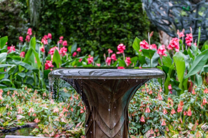 Beautiful fountain in a garden