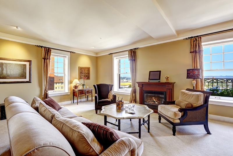 Bright living room with fireplace and antique furniture