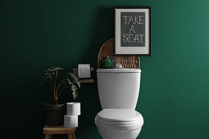Decor elements, paper rolls and toilet bowl near green wall
