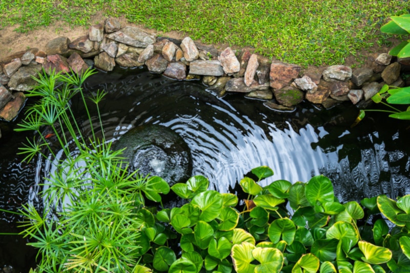 Decorative pondwith fountain