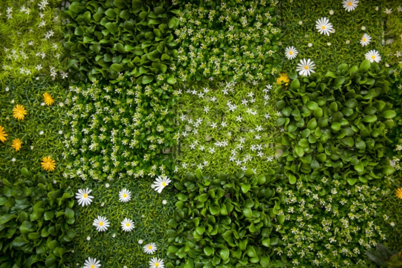 Fake grass and flower wall