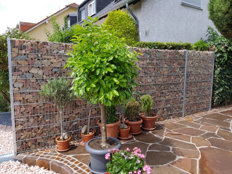 Gabion fence, gates and wall