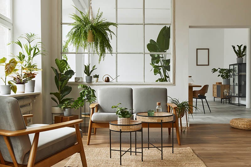 Modern scandinavian interior of living room