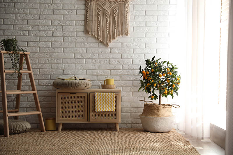 Stylish room interior with wooden cabinet and potted kumquat tree near white brick wall