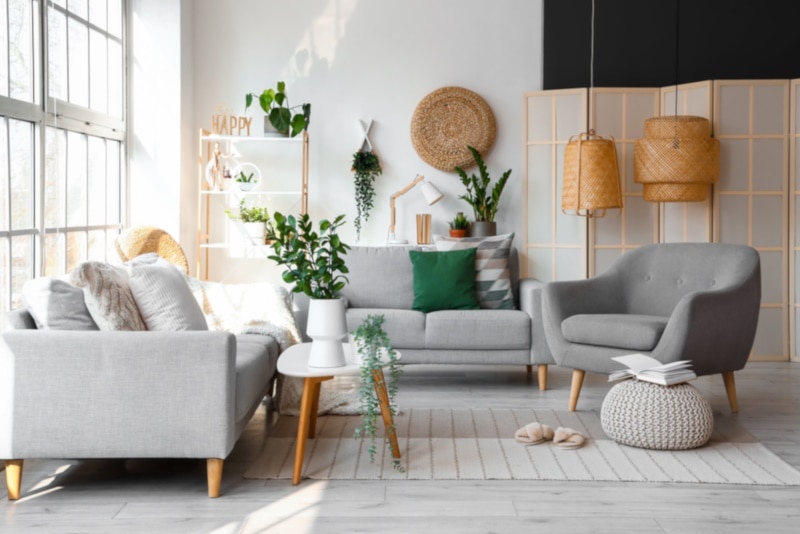 bright living room with cozy sofas