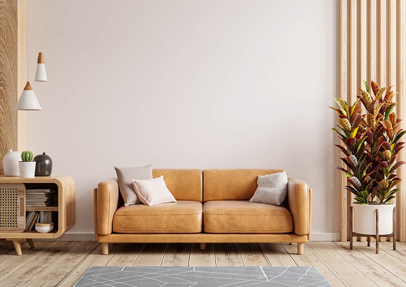 interior living room with leather sofa