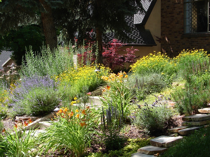 Front Garden Yard