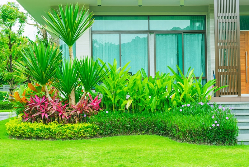Modern house with beautiful landscaped front yard