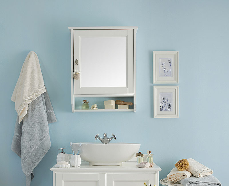 blue wall clear bathroom style